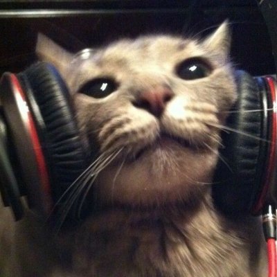 asupekt's profile image