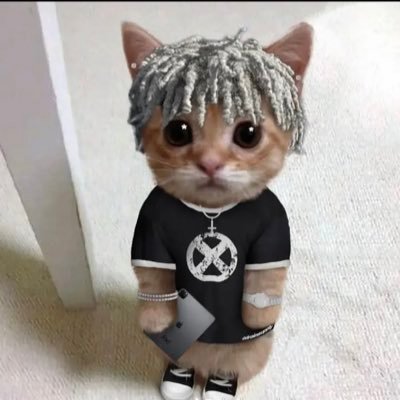 Nardo's profile image