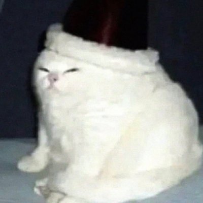 Gummy's profile image
